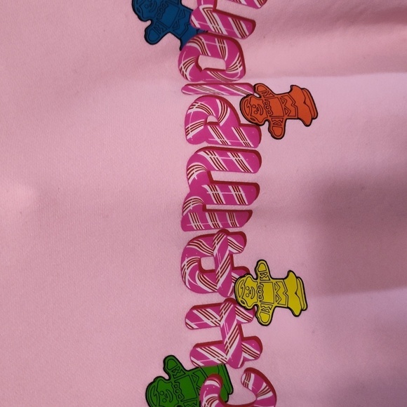 CHAMPION X CANDY LAND COLAB EXCLUSIVE “HERITAGE” PULLOVER HOODIE 2x - Picture 8 of 11